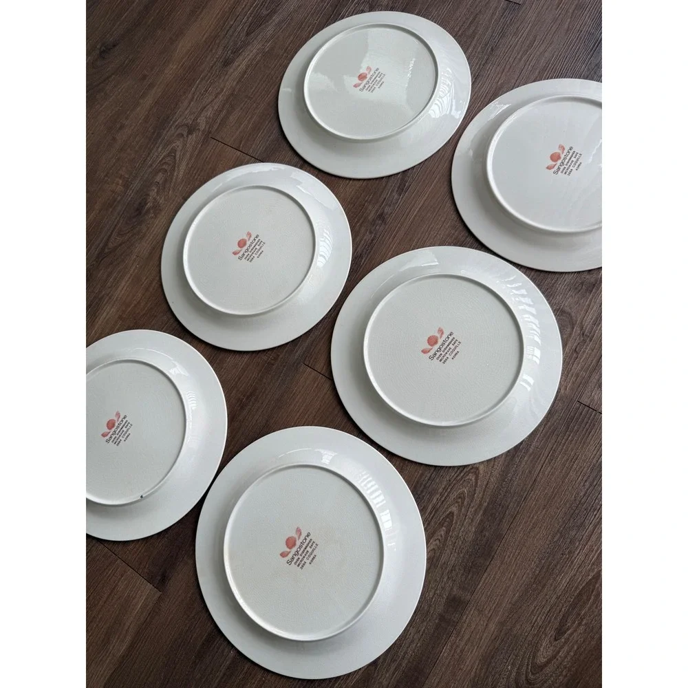 Sangostone Coquille Dinner Plates Set of 6 Pink Seashell Coastal Stoneware 10.75